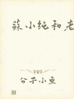 苏小纯和老苏