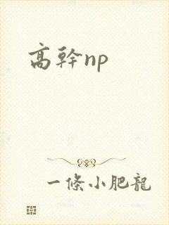 高干np