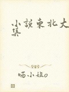 小说东北大炕全集