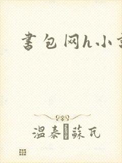 书包网h小说