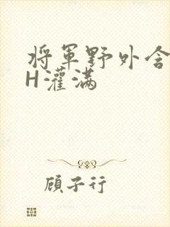 将军野外含公主H灌满