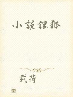 小说银狐