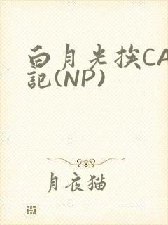 白月光挨CAO记(NP)
