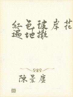 红色彼岸花花瓣遍地撒