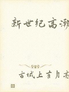 新世纪高潮战队