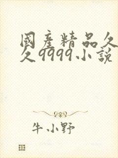 国产精品久久久久9999小说