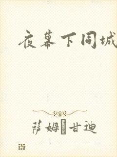 夜幕下同城网