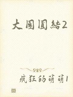 大团圆结2