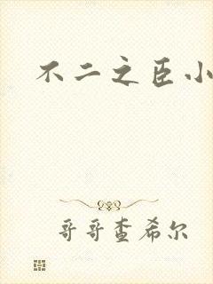 不二之臣小说