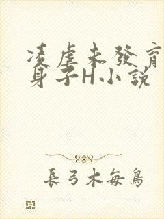 凌虐未发育的小身子H小说