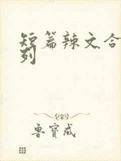 短篇辣文合集系列