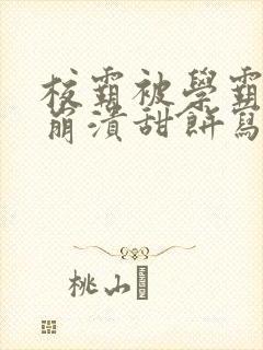 校霸被学霸玩到崩溃甜饼写手