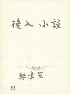 后入 小说