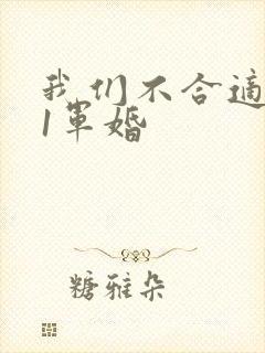 我们不合适1v1军婚