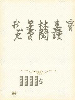 我是林喜宝小说免费阅读