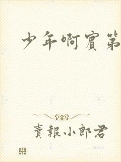 少年啊宾第二部