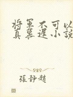 将军不可以魏云真慕迟小说笔趣阁