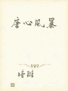 唐心风暴