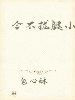 合不拢腿小说