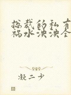 总裁的私有宝贝祸水泱泱全文阅读