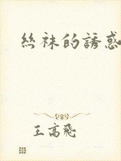 丝袜的诱惑小说