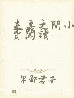 夫妻之间小说免费阅读