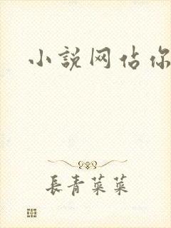 小说网站你懂的
