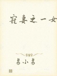 宠妻之一女二夫