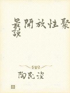 最开放性聚会小说