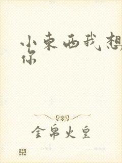 小东西我想弄坏你