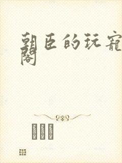 朝臣的玩宠笔趣阁