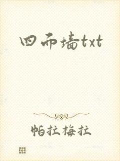 四面墙txt