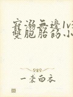 宠溺无边1v3双胞胎的小说