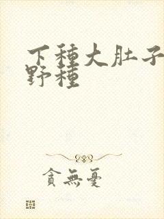 下种大肚子怀孕野种
