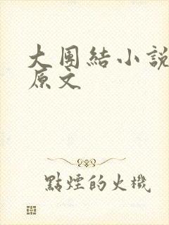 大团结小说阅读原文