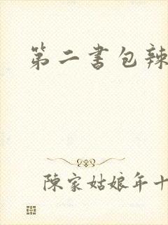 第二书包辣文