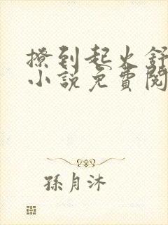 撩到起火舒漾的小说免费阅读全文