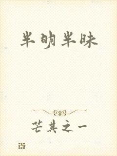 半明半昧