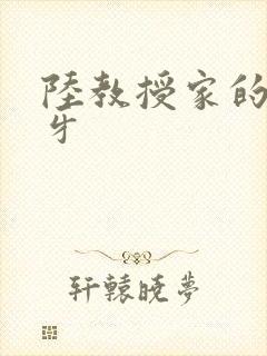 陆教授家的小月牙