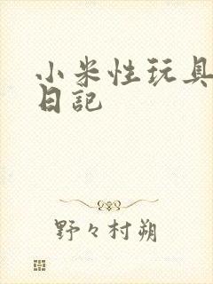 小米性玩具羞辱日记