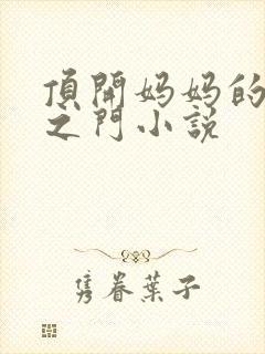 顶开妈妈的生命之门小说