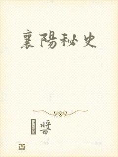 襄阳秘史