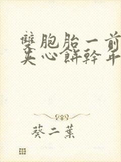 双胞胎一前一后夹心饼干年下