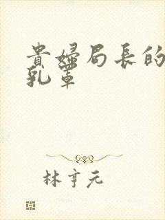 贵妇局长的蕾丝乳罩