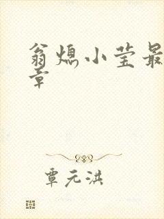 翁熄小莹最新节章