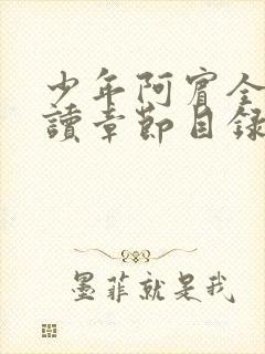 少年阿宾全文阅读章节目录