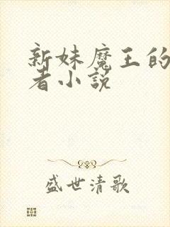 新妹魔王的契约者小说