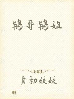 鸨哥鸨姐