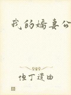 我的娇妻公务员