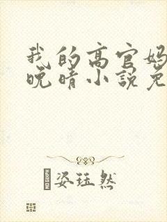 我的高官妈妈苏晚晴小说免费阅读